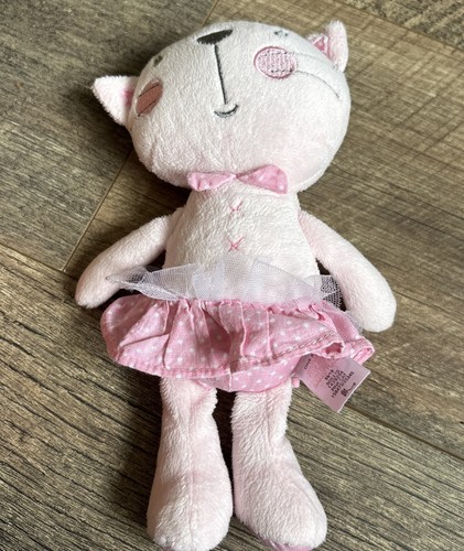 Bhs cat kitten - cat, pink