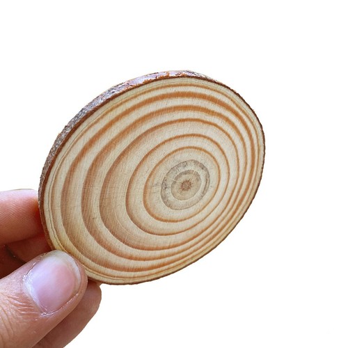 Wooden wood log slices - wood,