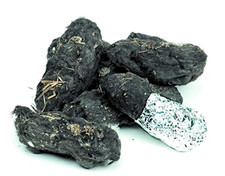 Barn Owl Pellets - Large -