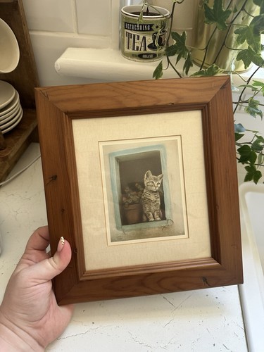 Vintage sue willis framed cat - vintage,