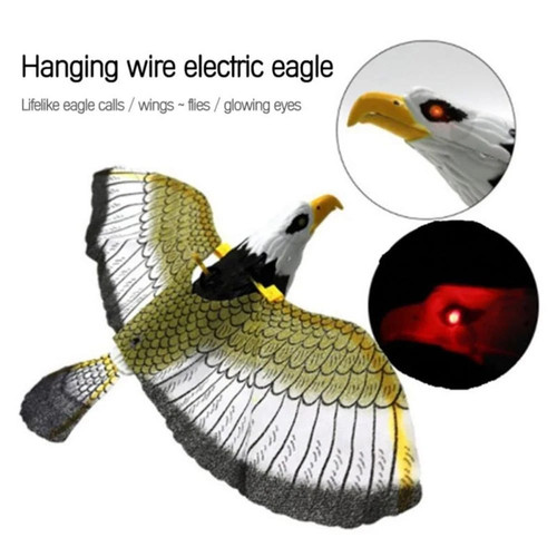 Flying bird hawk scarer - flying,