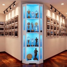 Corner Glass Display Cabinet