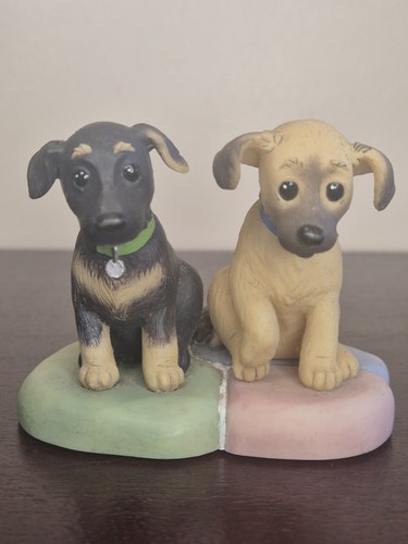 Rspca perfect pets tom - pets, &