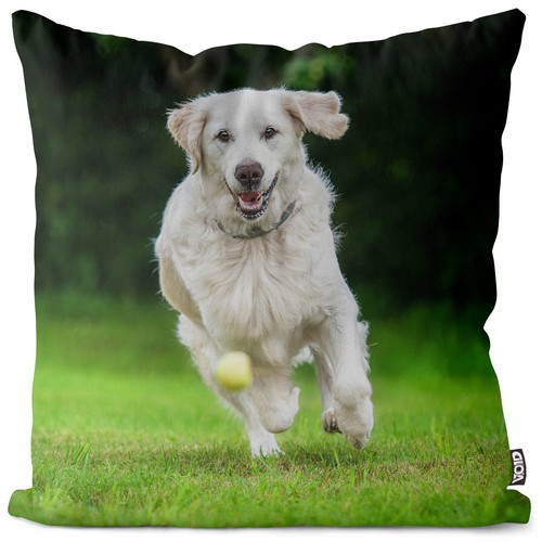 Golden retriever ball cushion - retriever,