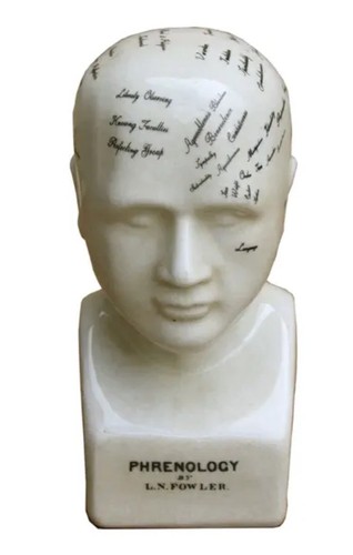 Small ceramic phrenology head - small,