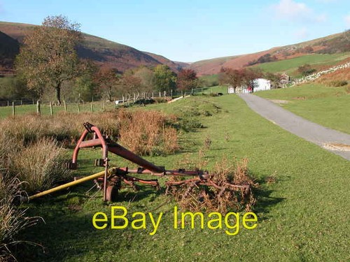Haybob blaen bwch - at,