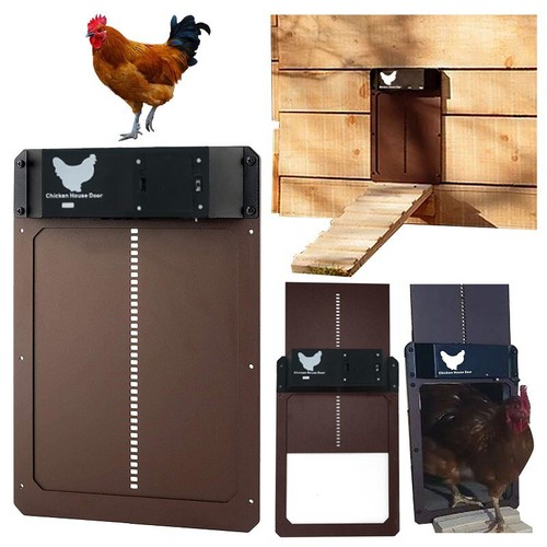 Automatic chicken coop - chicken, door