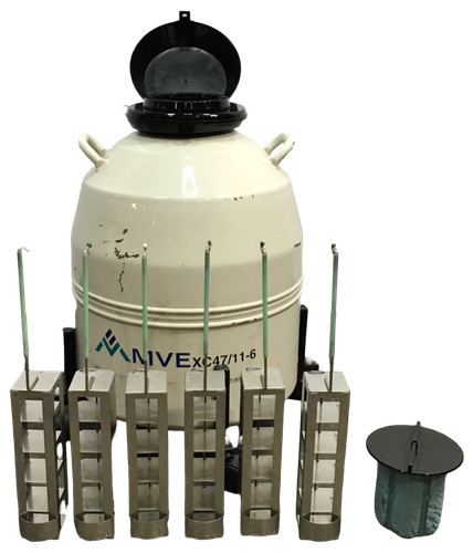 Mve liquid nitrogen cryogenic - liquid,