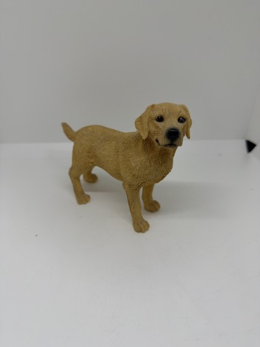 Leonardo golden labrador - leonardo,