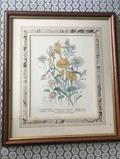 Vintage Framed Botanical