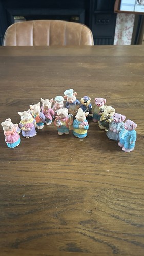 Collection cute pigs - of,