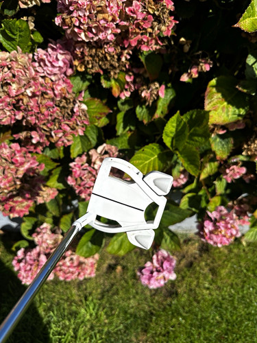 Taylormade spider ghost - spider, mallet