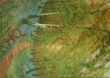 Picture Postcard__Daniel Sherrin, Bluebells [Camden Graphics]