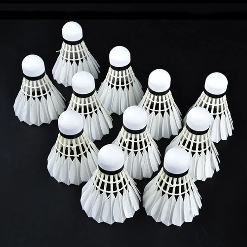 12pcs training goose feather - 12pcs,