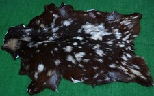 Luxury Goat hide Rug Hair on