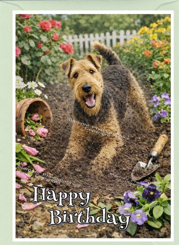 Airedale terrier dog - dog, (4"x