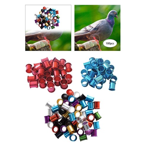 100x pigeon foot - pigeon, rings