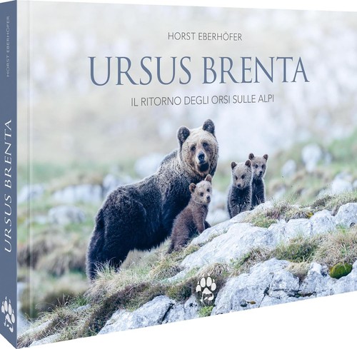 Ursus brenta die rückkehr - ursus,