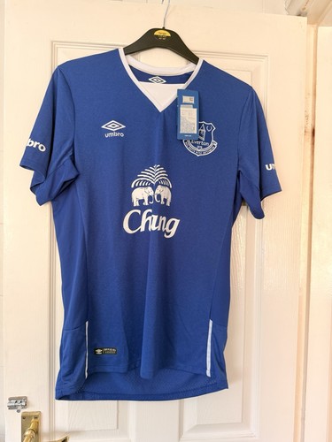 Everton chang 2016 - chang, 2016/2017