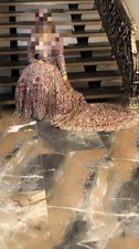 Asian bridal lehenga, size S