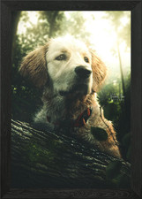 The lost dog Framed Wall Art