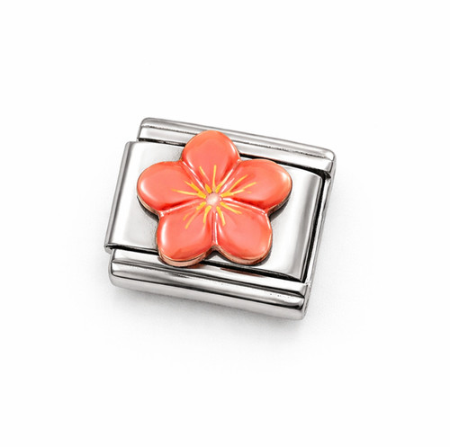Pink hibiscus flower italian - flower,