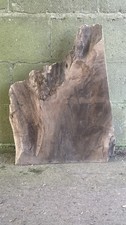 ENGLISH WALNUT CHUNKY SLAB