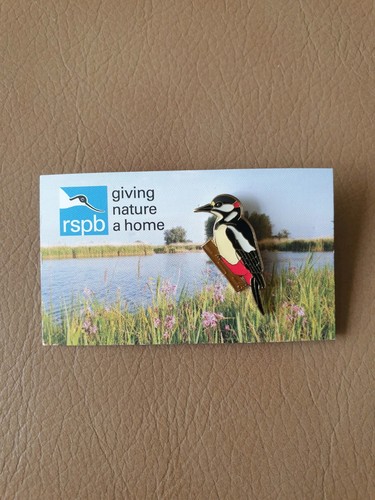 Rspb great spotted woodpecker - great,