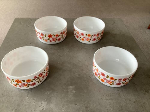 Arcopal france bowl scania - france, 4