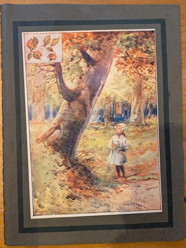 Vintage decorative print - print, of