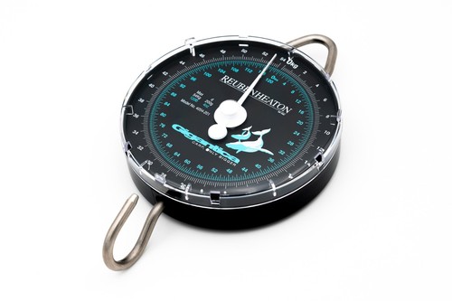 Korda gigantica scales - scales, limited