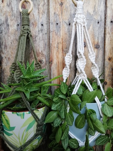 Macrame plant hanger - plant, hanger,