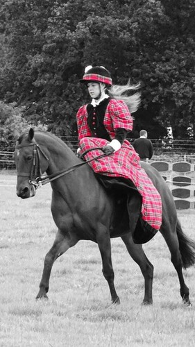 Side saddle costume - costume, 10/12