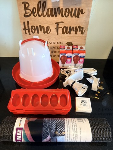 Chick quail brooder starter - quail,