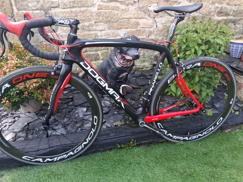 Pinarello dogma 54cm - pinarello,
