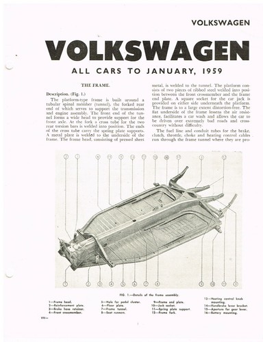 Beetle incl split - split, oval