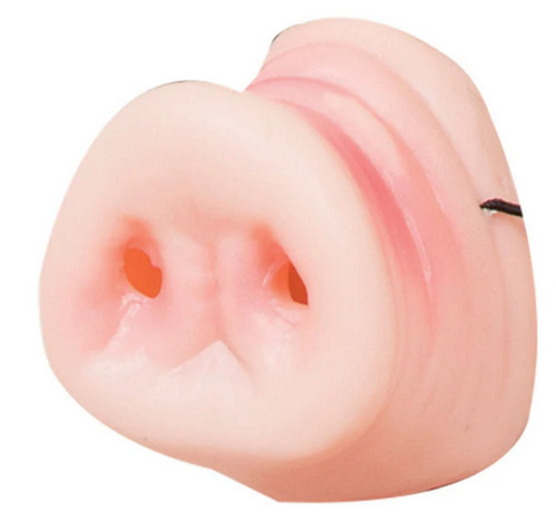 Pig nose childrens fancy dress - childrens,