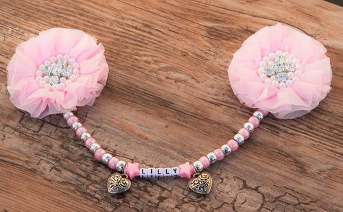 Personalised stunning pram