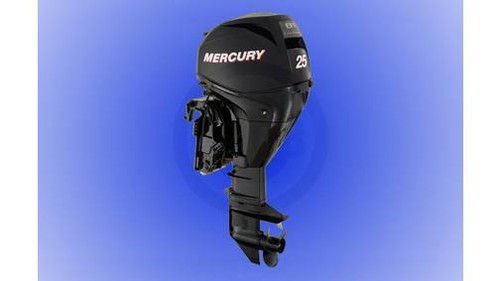 2008 efi 4 stroke - hp, 4-stroke