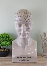Phrenology Head L N Fowler Sculpture Ornament Ceramic Crackled White 42cm