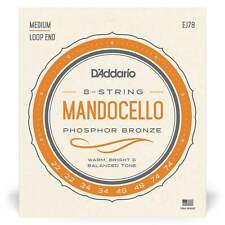 D'Addario EJ78 Mandocello