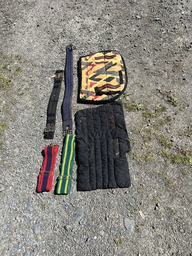 Job lot equestrian items - job,
