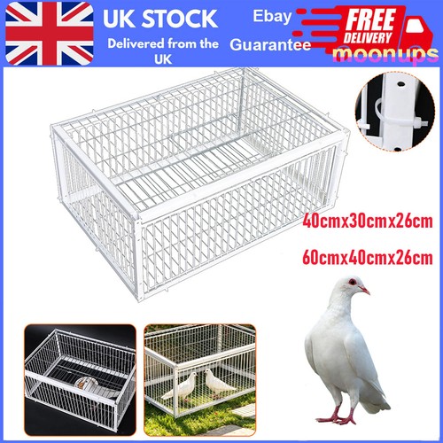Pigeon trap cage single way - cage,