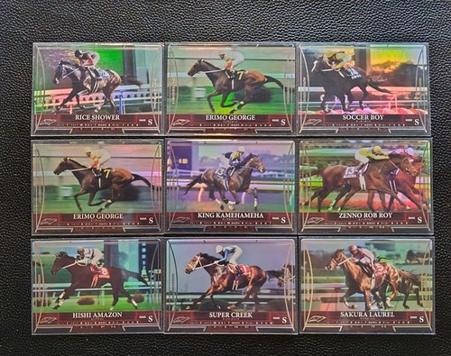 Horse riders horseriders - horse, s