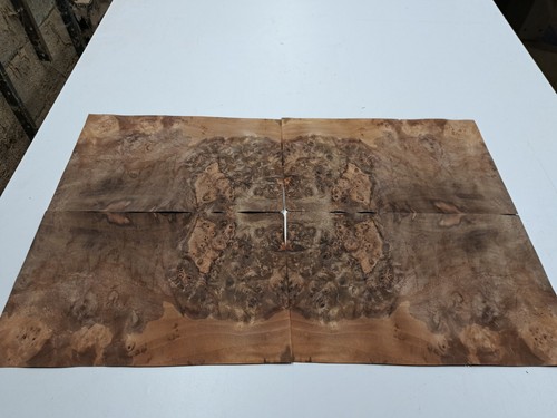 Burr walnut veneer 4 natural - -,