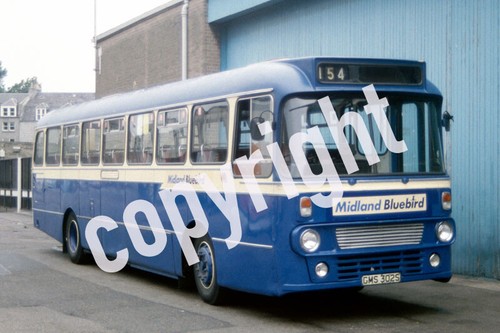Bus photo midland - photo, bluebird