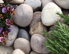 Scottish Cobbles | 50mm to