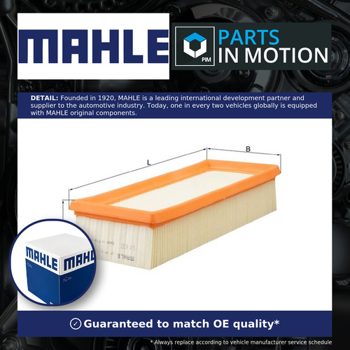 Air filter fits - lotus, elise