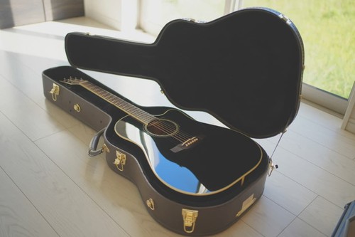 Takamine tdp861c - takamine, bl