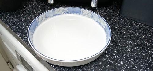 Wedgwood indigo large round - wedgwood,